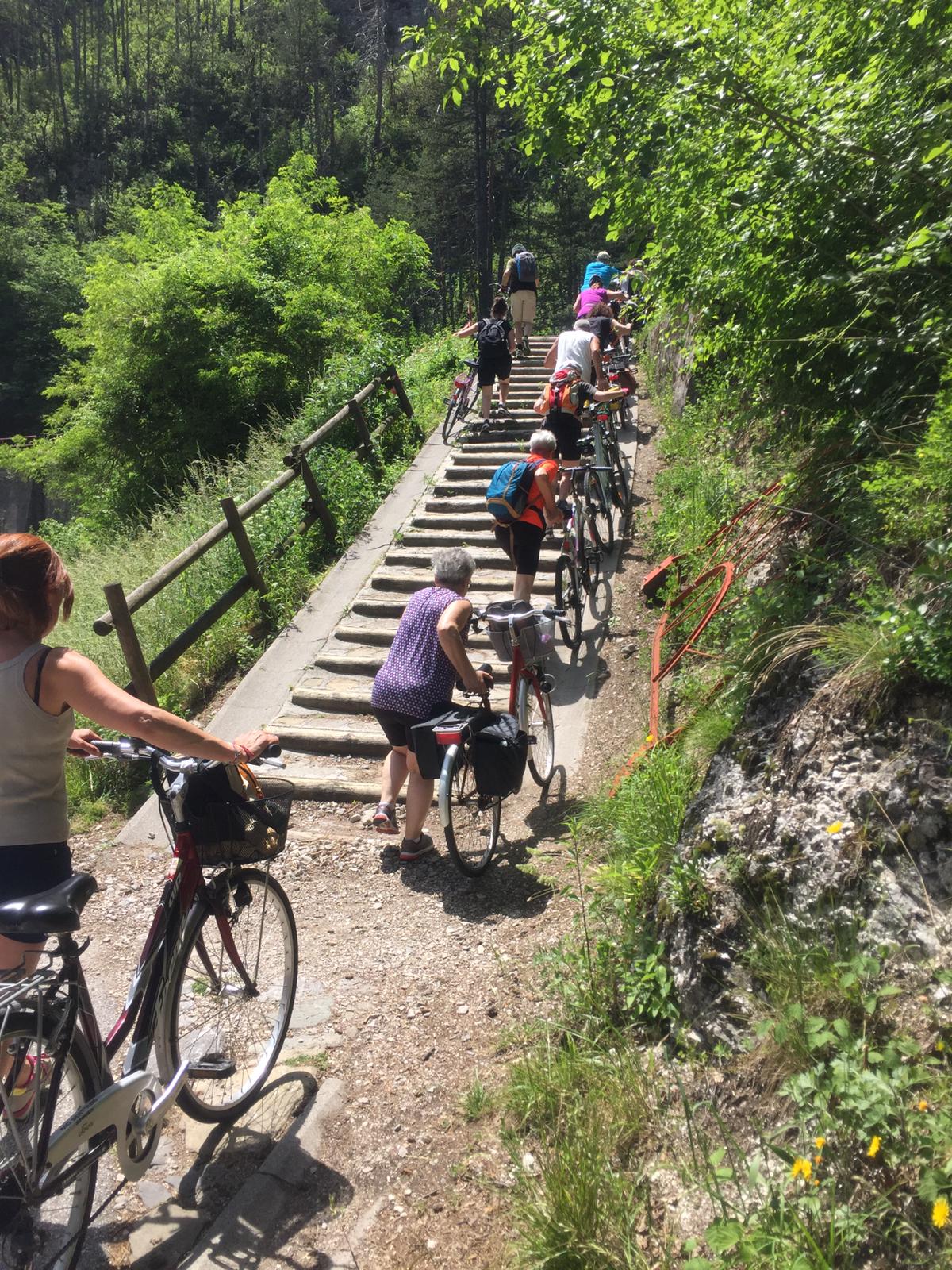 Scopri di più sull'articolo Biciclettata Tarvisio – Venzone